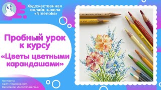 Пробный урок к карандашному "Цветочному курсу". Рисуем цветы цветными карандашами.