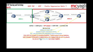 CCNP RS - Route - 3.65 - OSPF PRC - iSPF - Prefix Suppression Nedir ?