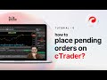 How to Place Pending Orders on cTrader | Hola Prime