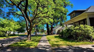 Summer afternoon Walkthrough Portland Oregon Neighborhood