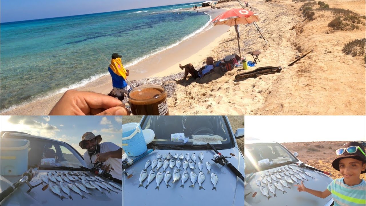 فتح شواطئ مطروح و موسم صيد الدنيس الممتع🛥️⁩⁦🏖️⁩🏄💪🌹