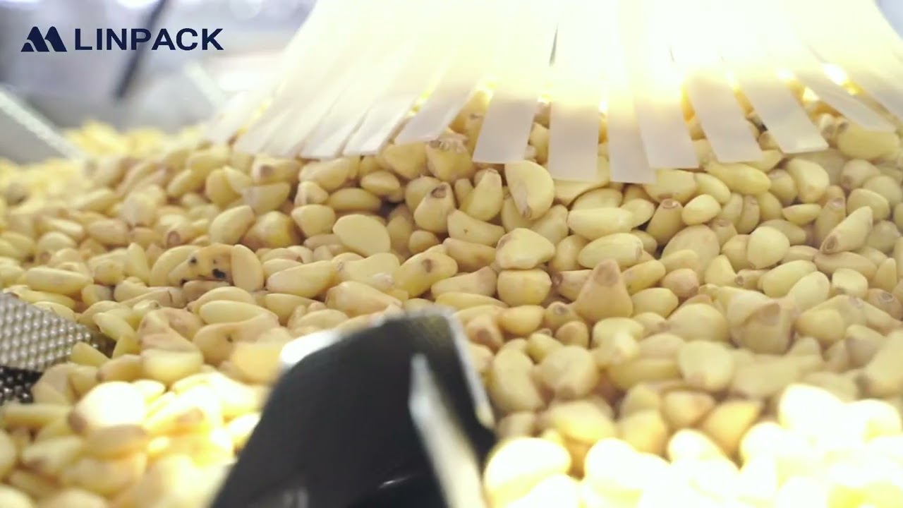 Peeled garlic doypack packaging machine Máquina de embalagem de sacos de alho descascado