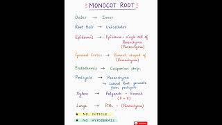 Monocot Root In 15 sec | Re-NEET 2026 Biology Revision| Anatomy Trick #reneet2026 #shorts