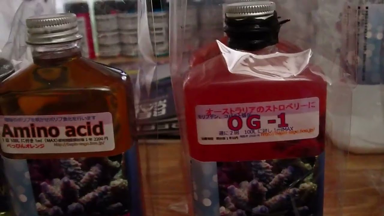 アクアリウムのある暮らしでのべっぴん珊瑚の商品売り上げランキング！一位はすっぴん？リーフチャージ？それとも土壌バクテリア？