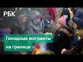 Голодные мигранты на польско-белорусской границе/ЕС: Действия Белоруссии могут быть гибридной войной