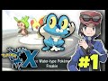 FROAKIE I Choose You ! | Pokemon X&amp;Y Gameplay EP-1 In Hindi| HerooX