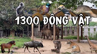 Đi Thảo Cầm Viên-Sở Thú Sài Gòn 40-60k/Vé xem Hổ Voi Gấu Rắn Cáo Khỉ… với hơn 1000 con động vật