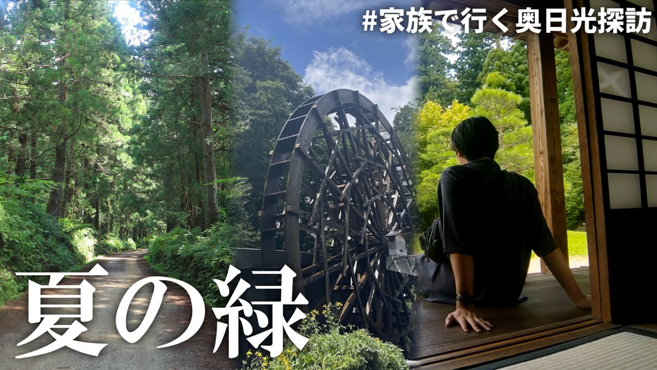 家族で行く夏の奥日光探訪2　日光杉並木編 【日光街道杉並木公園】