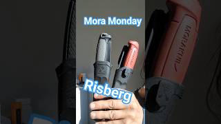 Mora Monday, the Risberg #moraknife ##morakniv #bushcraftknife #edc #bushcraft #knifecommunity