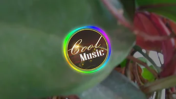 One Taste | No Copyright Music