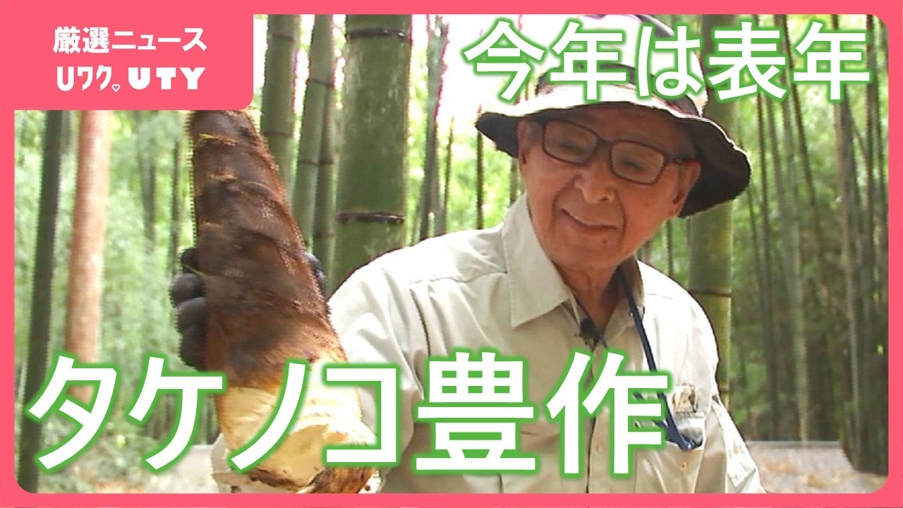 倍ですね。十分すぎるくらい採れる」今年はタケノコ豊作 安いと1キロ 