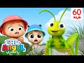 ما أجمل الحشرات أغاني تعليمية للأطفال أغاني للأطفال   