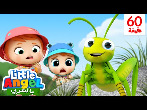 ما أجمل الحشرات أغاني تعليمية للأطفال أغاني للأطفال   