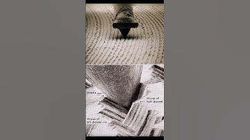 Thumbnail of The grooves on a vinyl record are where the music is stored.