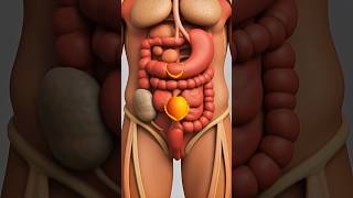 One Mango, 10 Reactions Inside Your Body