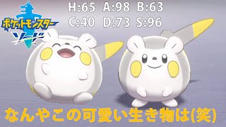 可愛いかわいいトゲデマル ポケモン剣盾 ランクマッチ 2 Rinchan Youtube