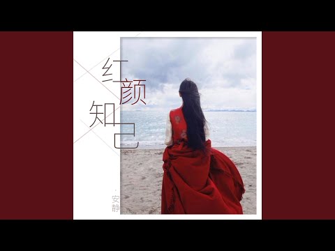 紅顏知己 (DJ沈念版)