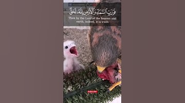 { وفي السماء رزقكم وما توعدون} آية 22  سورة الذاريات  / القارئ إسلام صبحي