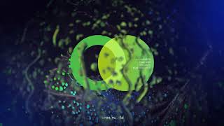 Jou Nielsen, Paul Ikky - No Fear (feat. NUR) // Area Verde