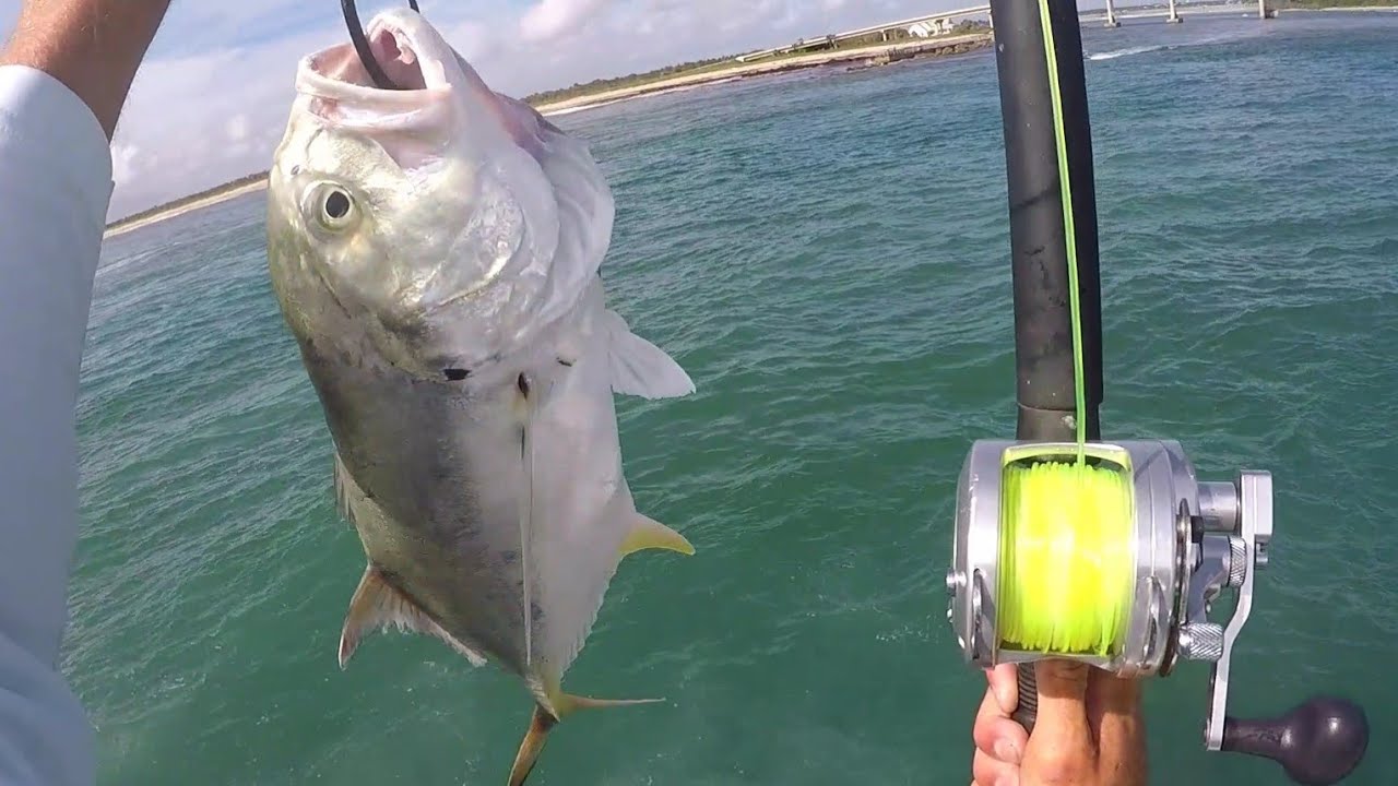 BIG BAIT for Big Fish Goliath Grouper and Snook Fishing 