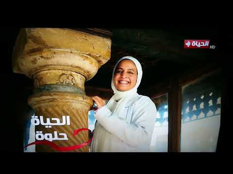 Alhayah TV Identity 2024 