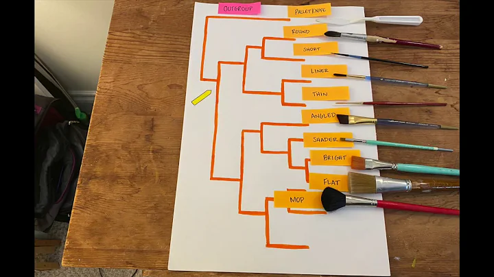 GN 311: Haley Guess Video 5.1, Phylogenetic Tree Example