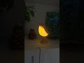 Regálale esta lámpara a un amante de los pájaros 🐦 #bird #lampara #led a#regalo