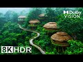 8K HDR 60FPS Dolby Vision: The Most Mind-Blowing Footage Ever Shot! (12K Paradise)