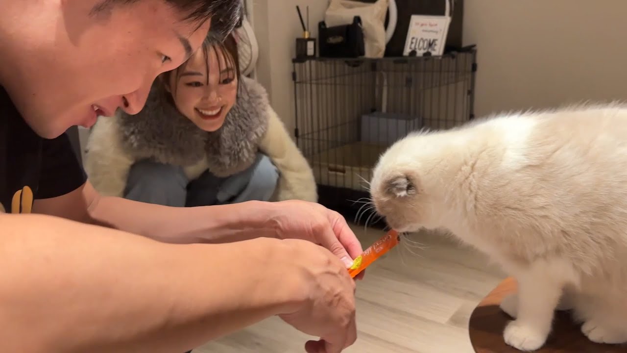 美月ちゃん家の猫に会いに行ってみた