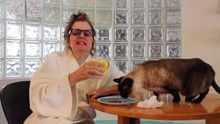 Comic Paula Poundstone as 1st Grade Teacher Ms. Nancy Gives Hilarious Online Instruction