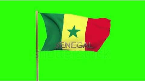 Senegal flag with title waving in the wind. Looping sun rises style. Animation loop Stock video by