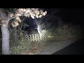 【心霊 ミテハイケナイ魔の峠】Ghost Live  地元で噂がある峠に潜む女性の霊