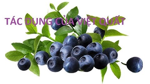 Khám phá tác dụng kỳ diệu của quả việt quất đối với sức khỏe