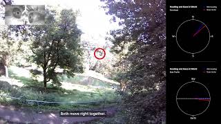 Combined Head and Eye Movement Tracking With the Neon Wearable Eye Tracker