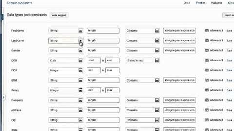 TIBCO Clarity - Using Data Types