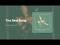 Noah Floersch The Bird Song Lyrics mp3