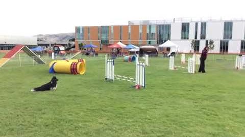 Christy Premier JWW 5/15/16