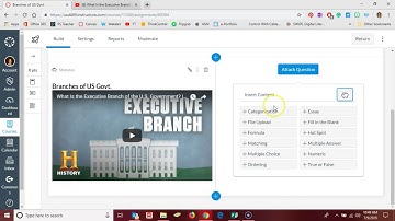 Canvas New Quizzes: Stimulus & Categorization Questions