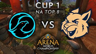 Kawhi vs Charlotte Phoenix | Lower Quarters | AWC Shadowlands NA Cup 1