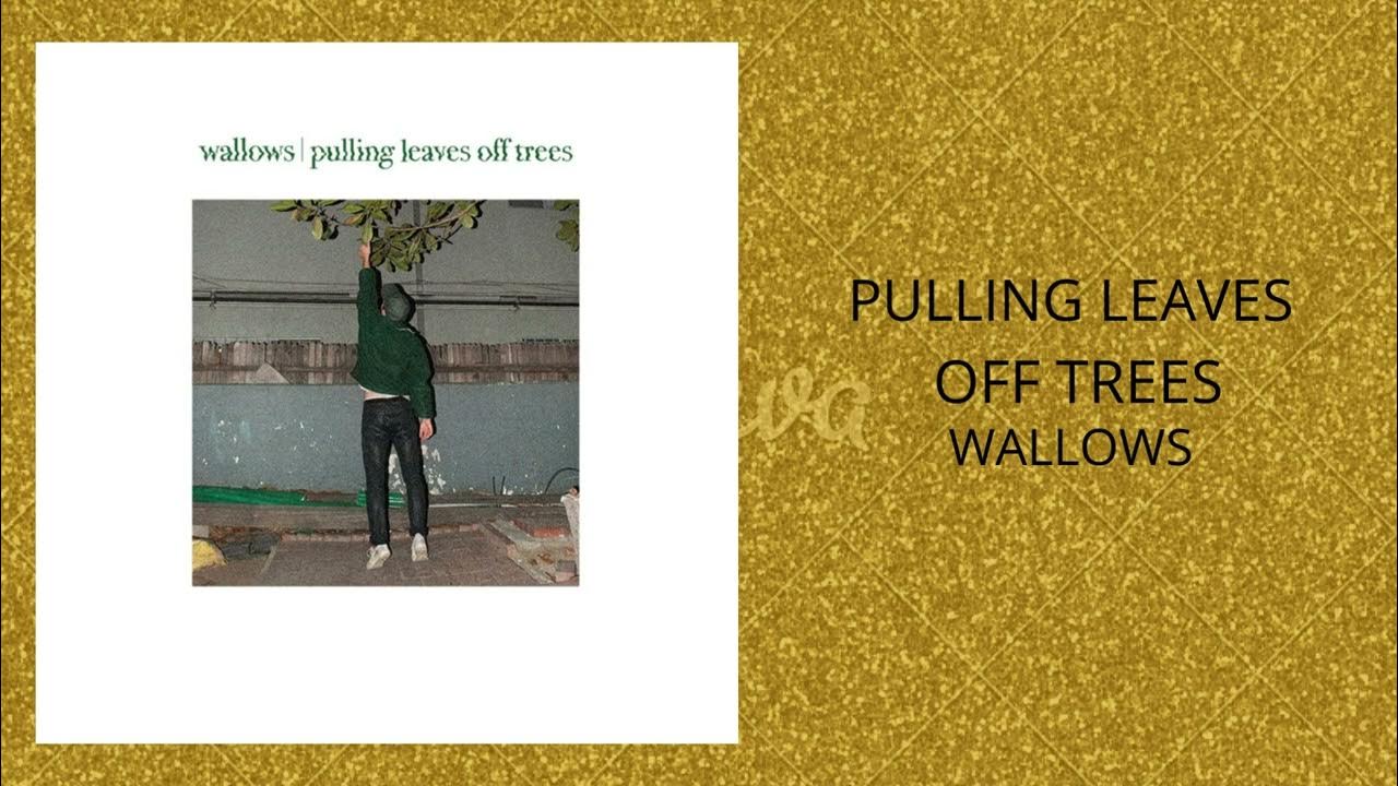 Wallows Pulling Leaves off Trees (INSTRUMENTAL KARAOKE) YouTube