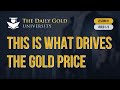 This is What Drives the Gold Price (Lesson 1, Video 1/3)