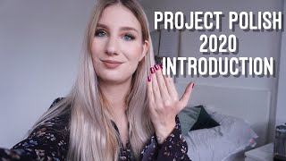 Project Polish 2020 - Introduction