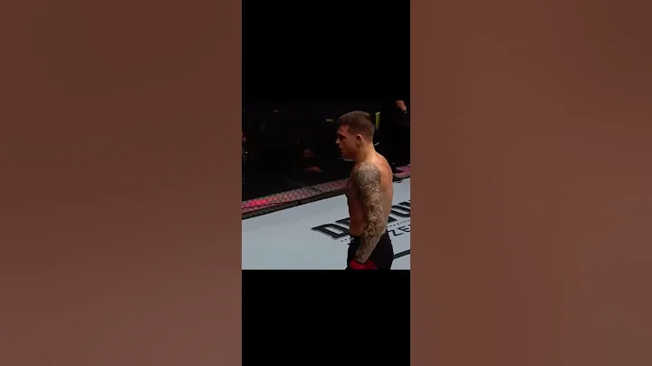 #ufc257 poirier vs conor   Poirier knocked out con...