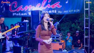 Download Lagu CAMELIA MUSIC - MANGU ADINDA RACHEL - WEDDING PARTY RIO \u0026 RIRIS - CLUWAK MP3 Download Lagu CAMELIA MUSIC - MANGU ADINDA RACHEL - WEDDING PARTY RIO \u0026 RIRIS - CLUWAK MP3