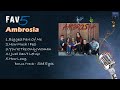 Capture de la vidéo Ambrosia Fav5 Hits