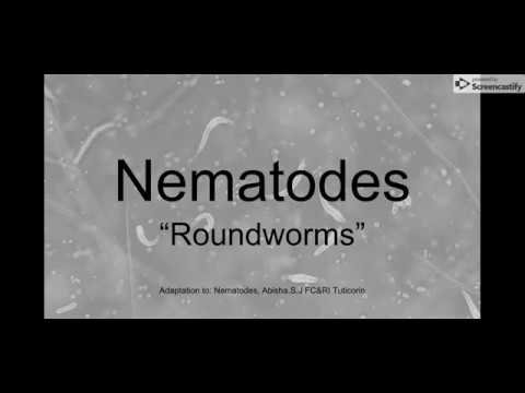 Nematodes (5/9) Life Cycle