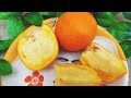 Orange Kulfi In Orange Shell | Orange Kulfi Recipe Without Mould | Creamy Orange Kulfi Recipe |