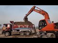 Doosan Excavator Loading Soil into Dump Trucks & Trolleys | Heavy Equipment at Work