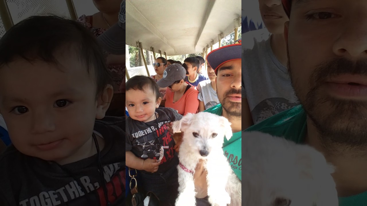 Parque morelos tijuana de paseo camera iphone 8 plus apk