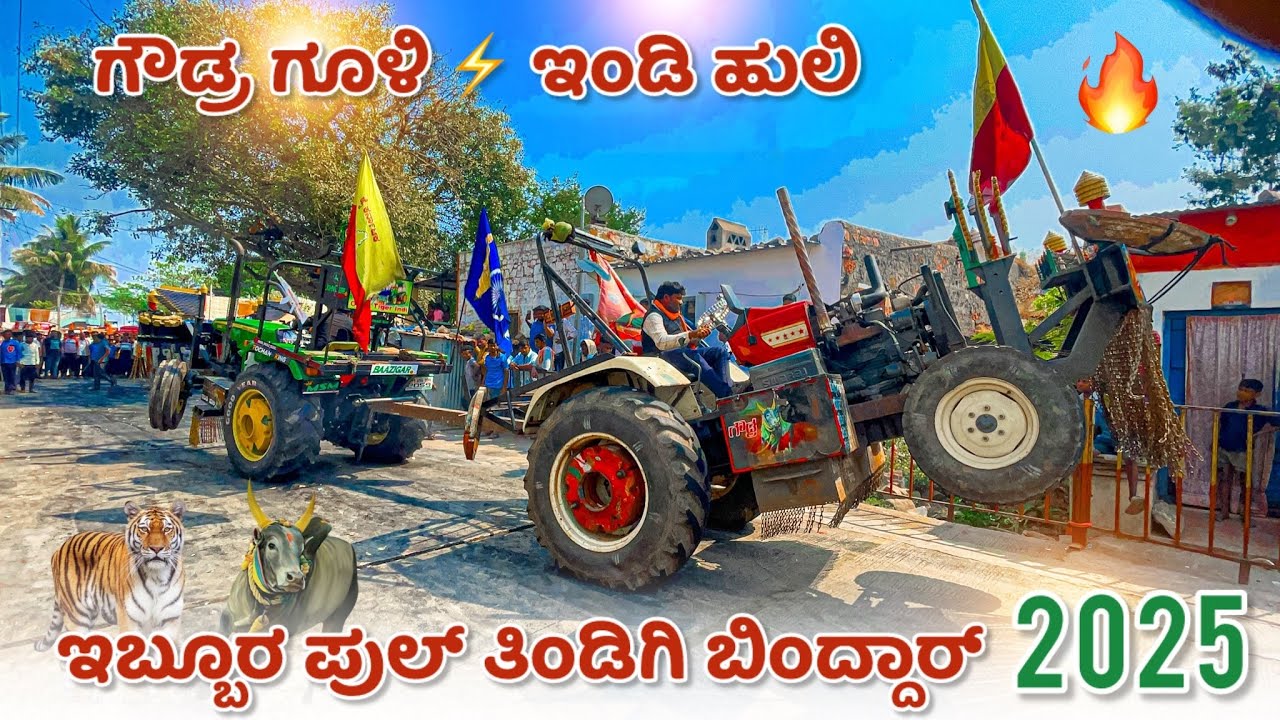 🚩ಗೌಡ್ರ ಗೂಳಿ 💥 ಇಂಡಿ ಹುಲಿ  ತಿಂಡಿ ಮ್ಯಾಚ್ 2025) John Deere530 vs Swaraj 855 tractor tochan competition